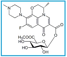 Levofloxacin Acyl-β-D-Glucuronide Methyl Ester 